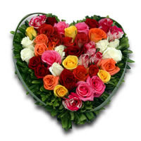 Amore Colore - Regalar Rosas, Regalar tulipanes, regalar flores,regalar arreglos florales, regalar regalos